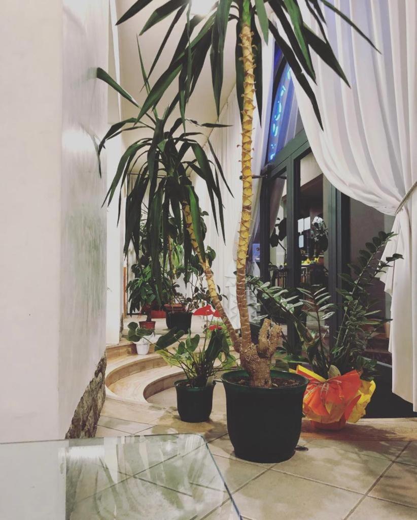 Albergo La Posta Arezzo Badia Al Pino Ngoại thất bức ảnh